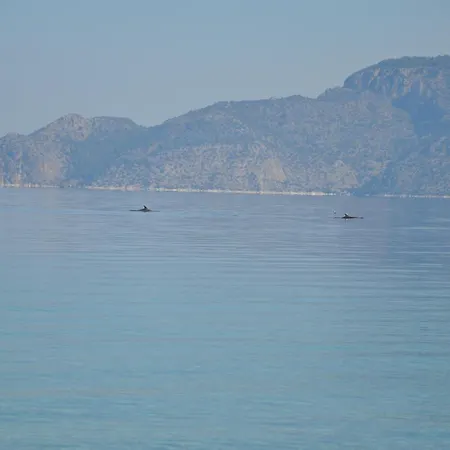 In Direkt Am Meer, Tolle Aussicht Διαμέρισμα