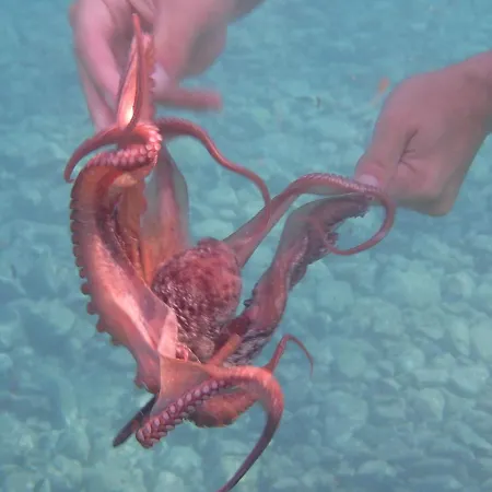 아파트 In Direkt Am Meer, Tolle Aussicht *