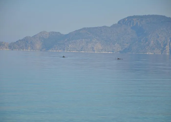 In Direkt Am Meer, Tolle Aussicht Apartmán