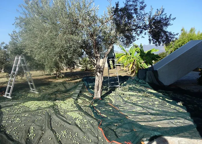 In Direkt Am Meer, Tolle Aussicht דירה *